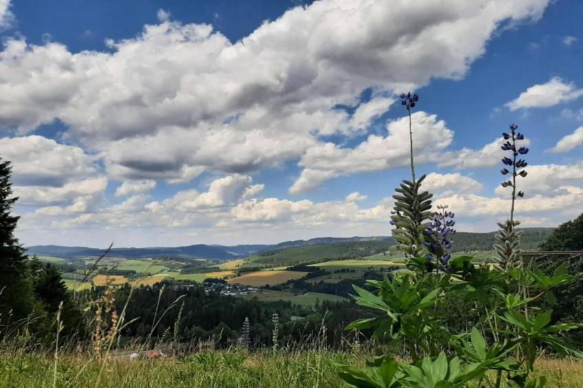 Zum Spitzen Land - foto 39