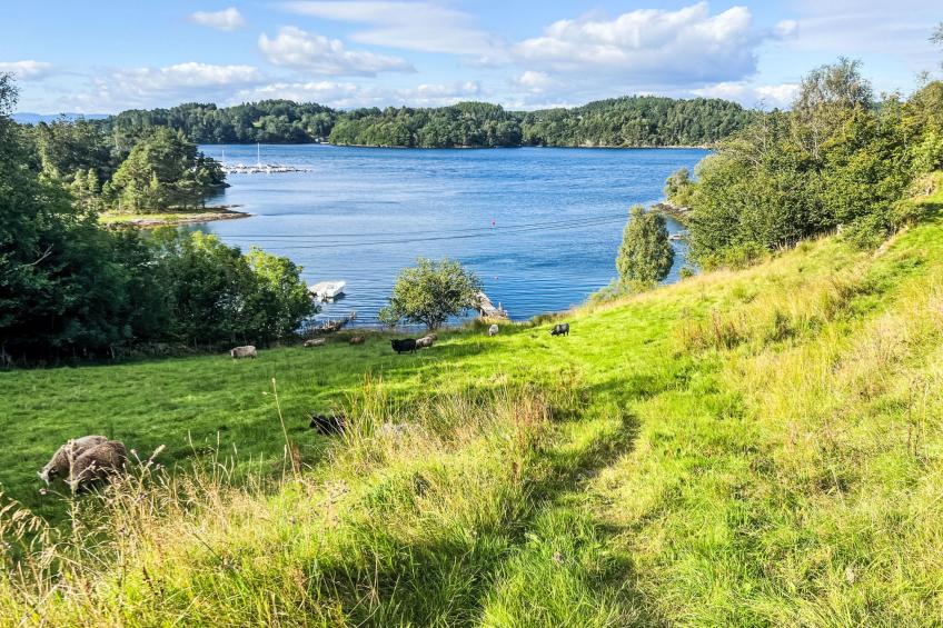 Lauvlid Cottage - foto 36