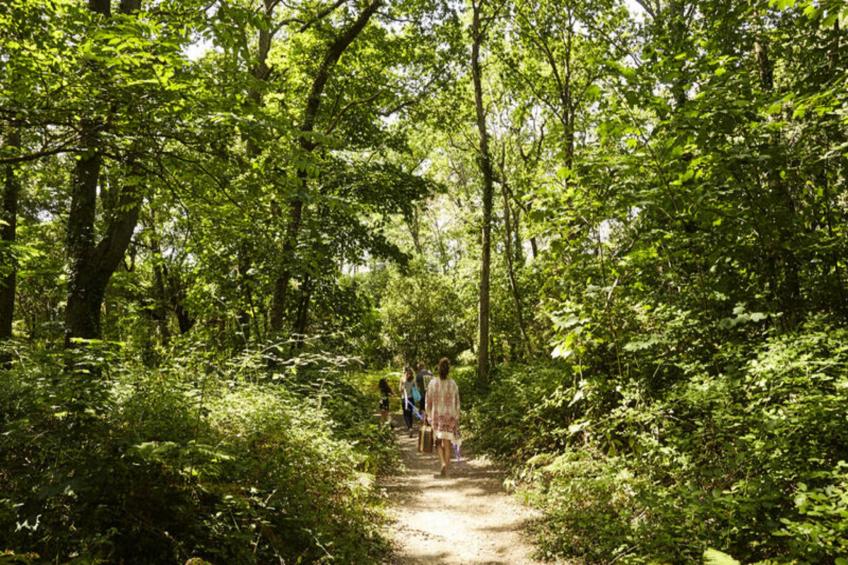 Appartements à Saint-Brevin-les-Pins - foto 22