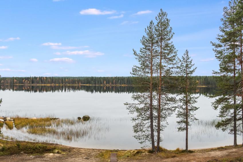 Pähkinä - foto 5