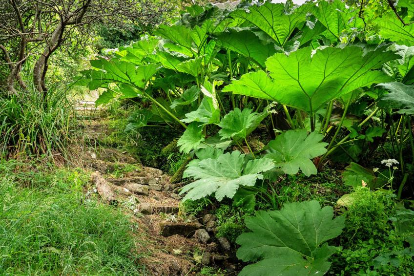 Tregatreath - foto 14