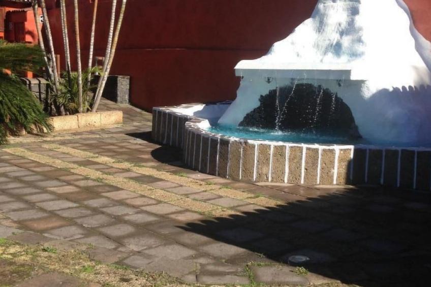 Finca Los Vinedos - foto 32