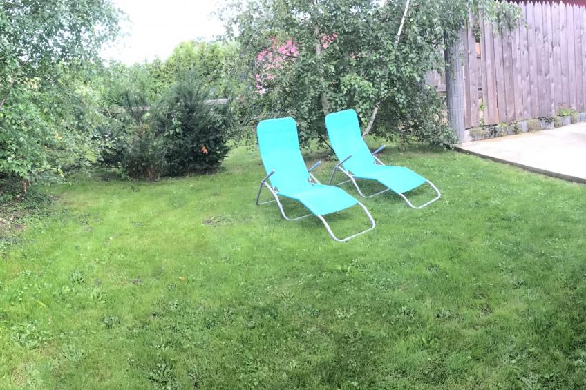 Dünengras - foto 11