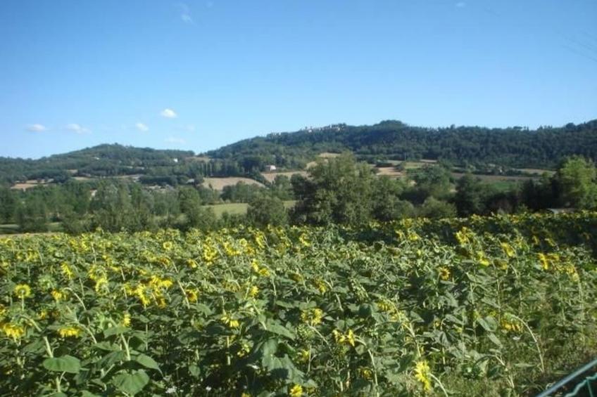 Agriturismo Podere Casenove Wohnung Magnolia - foto 21