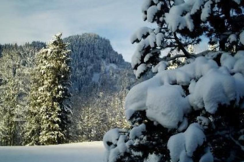 Falkenberg Wh 211 - foto 11