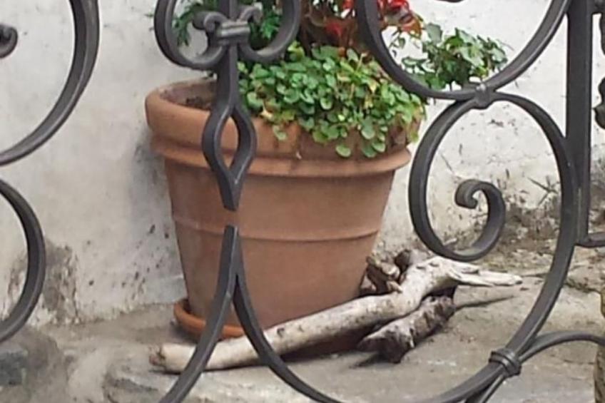 Haus San Cristoforo - Atelier - foto 6