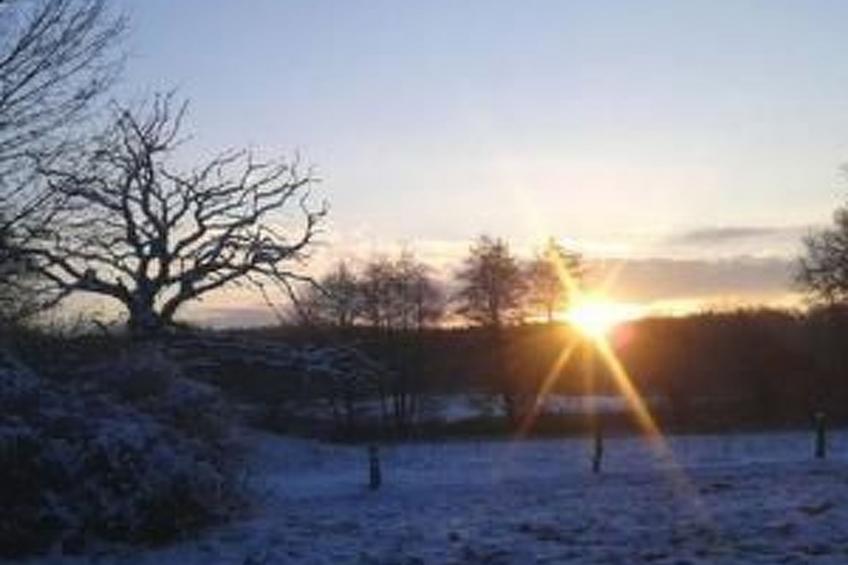 Reiterstübchen - foto 14