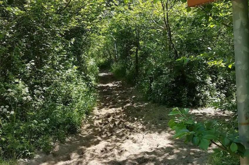 Holidayhome - Valkenisseweg 68 l Groot Valkenisse 'Strand Bungalow' - foto 30