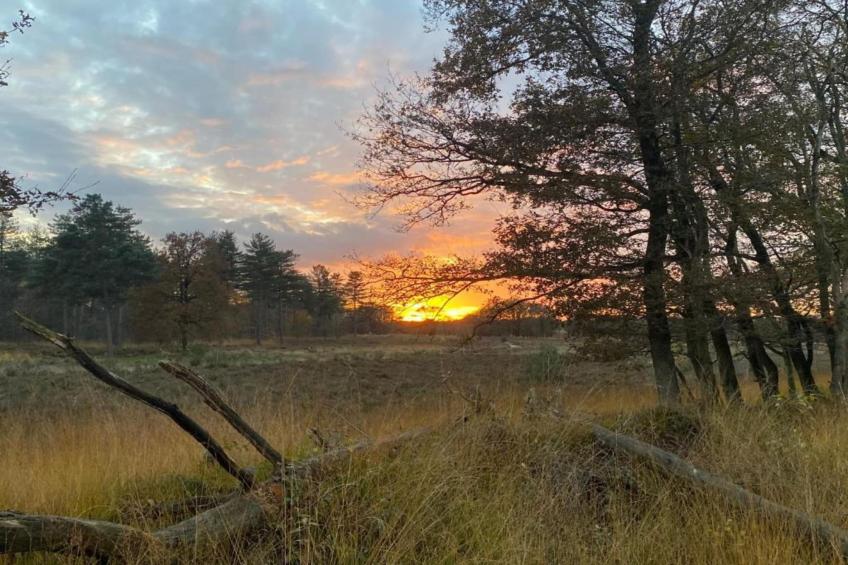 Vakantie bij Meeussen - Schuttersoord 2 - foto 26