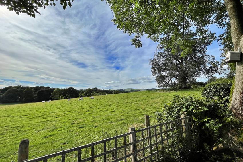 Ivy Cottage - foto 52