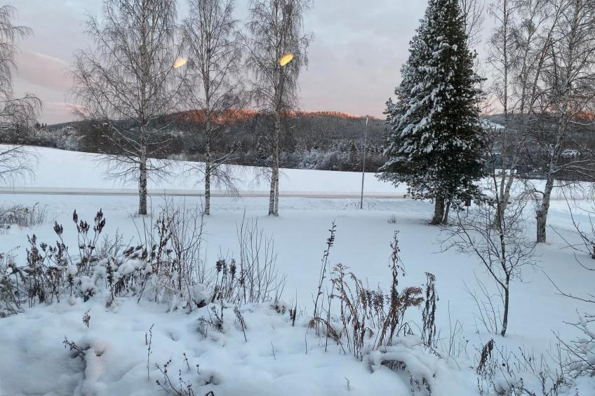 Schöne große "Villa Stolle" 9 Personen 2 Bäder - foto 29