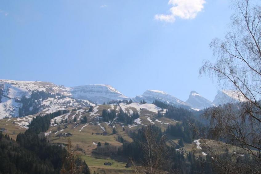 Chalet Lilian - foto 36