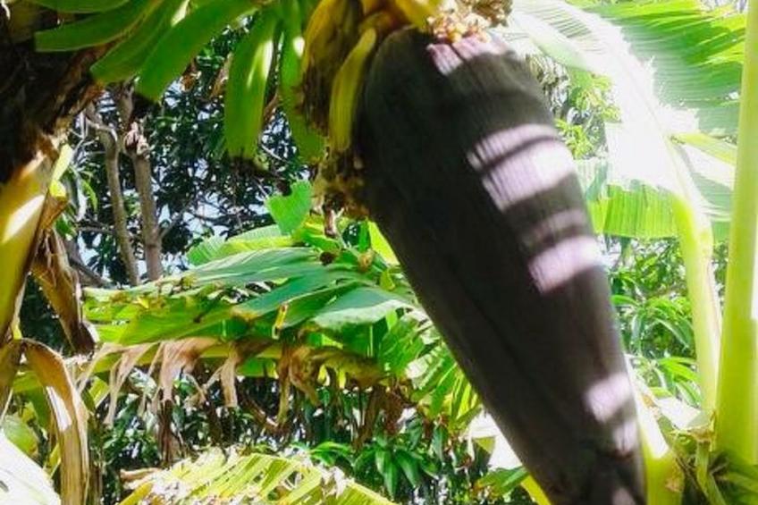 Wohnung in Cas Grandi mit Schönem gemeinsamem Pool - foto 23