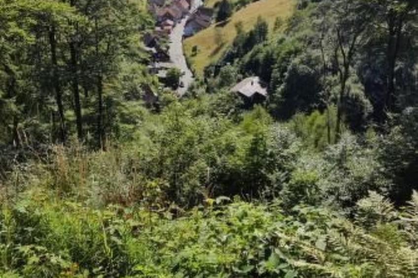 Gemütliche Wohnung in Lerbach mit Terrasse, Garten - foto 9