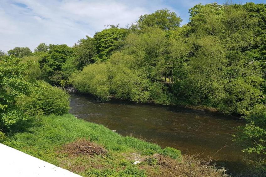 Owl Cottage - foto 21