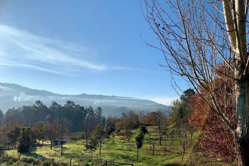 mit Blick auf das Wasser - foto 19