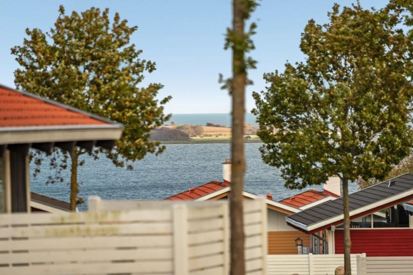 "Boris" - 500m from the sea in SE Jutland - foto 14