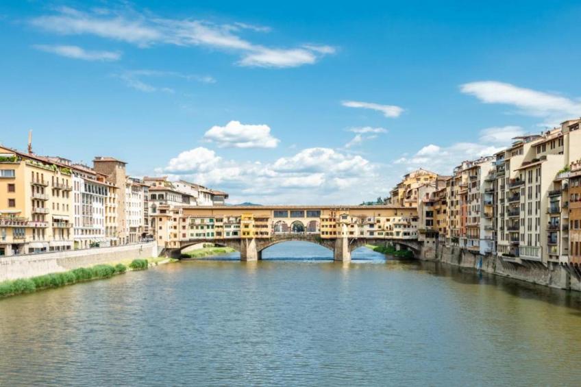 Dei Medici - foto 30