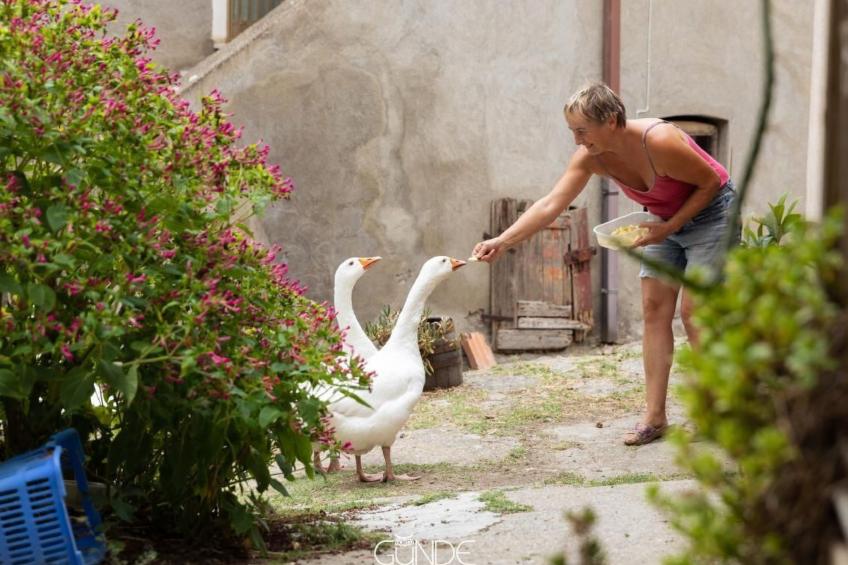 Das Bauernhaus - La Casa Contadina - foto 23