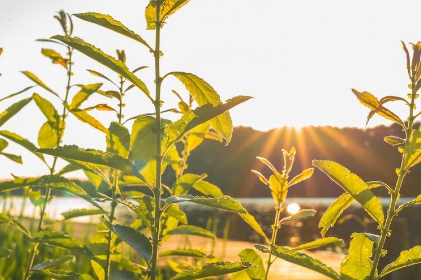 Strandblick|Strandblick - foto 29