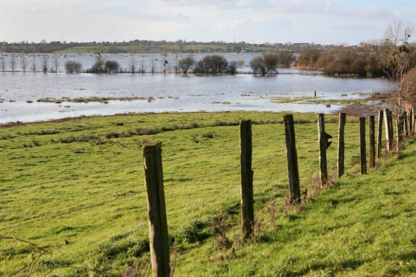 "8883" in Strandnähe - foto 29