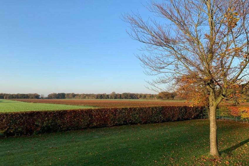 Recreatiepark Tolplas - foto 33