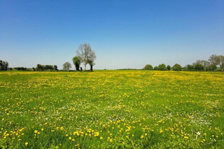 Sapin-Paul - foto 29