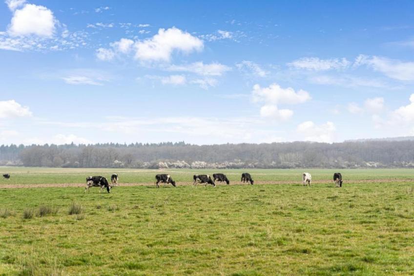 Au Pas Perdu - foto 28