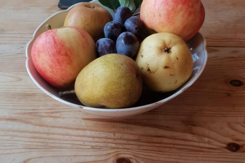 Pinto Béla - foto 8