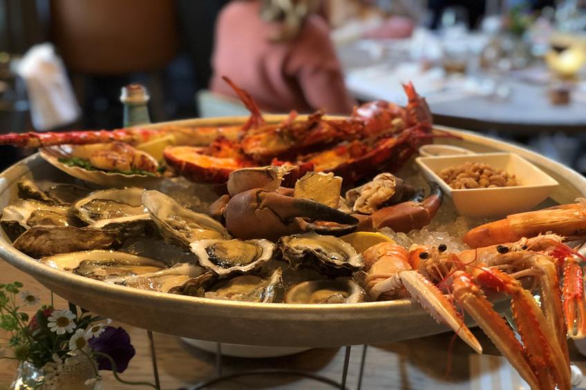 De Ooievaar - foto 39