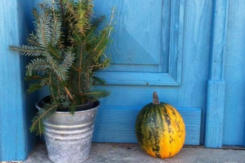 Kellerstöckl am veganen Bio-Lebenshof - Varm - the vegan Farm - foto 23