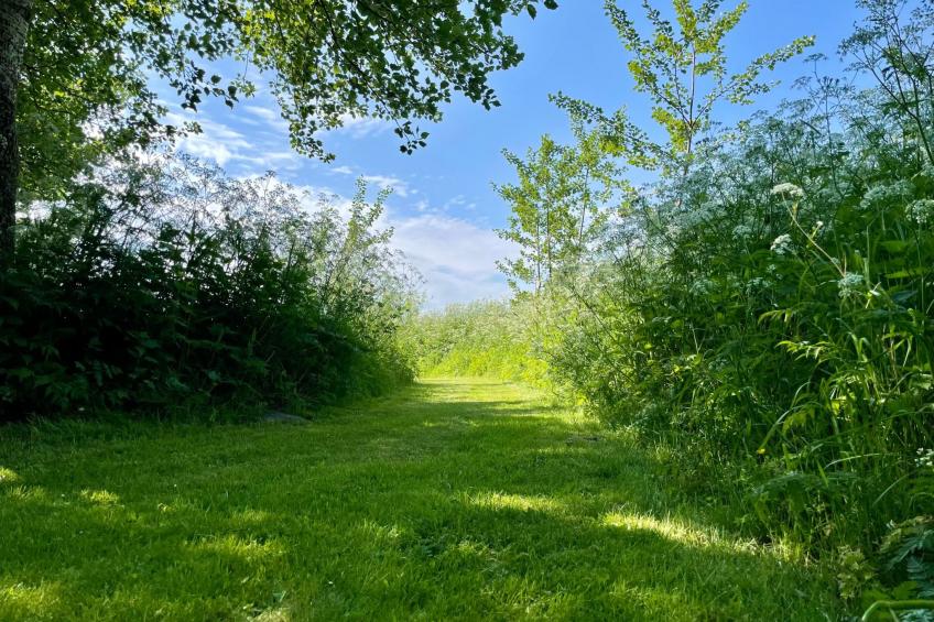 Reetdachhaus für erholsamen Familienurlaub - foto 47