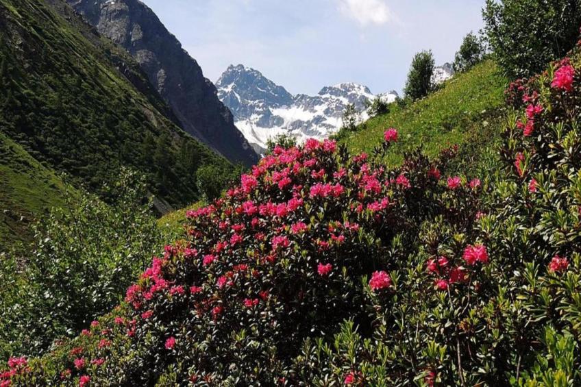 Lukan 2 - foto 31