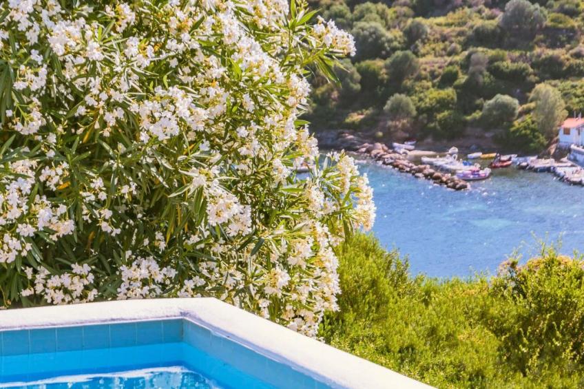 "Blue Villa" - foto 17