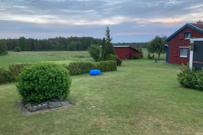 Blombacker - foto 50