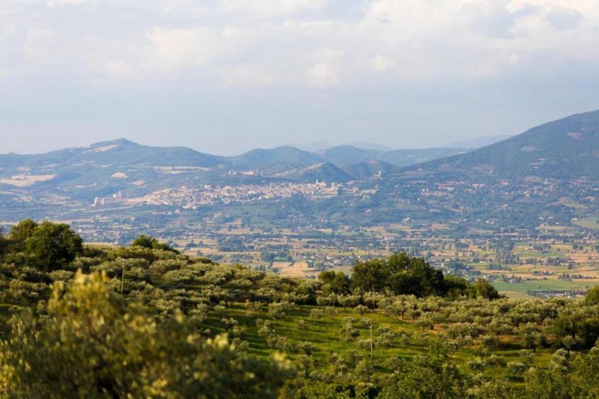 Spello - foto 40