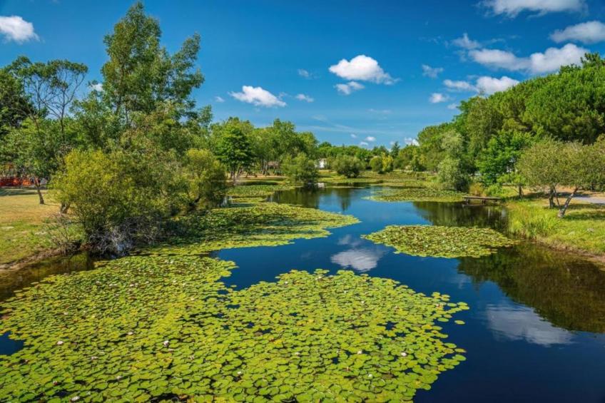 Résidence Le Petit Pont 2 - foto 14