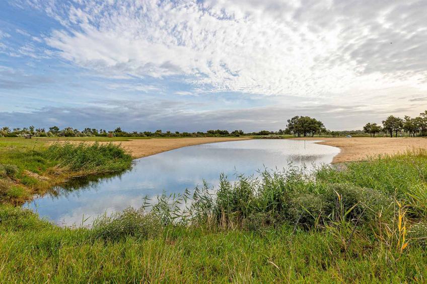 Le Teich S 2/4 - foto 15