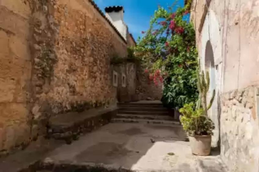 Can Pina - Eco Arco - - foto 26