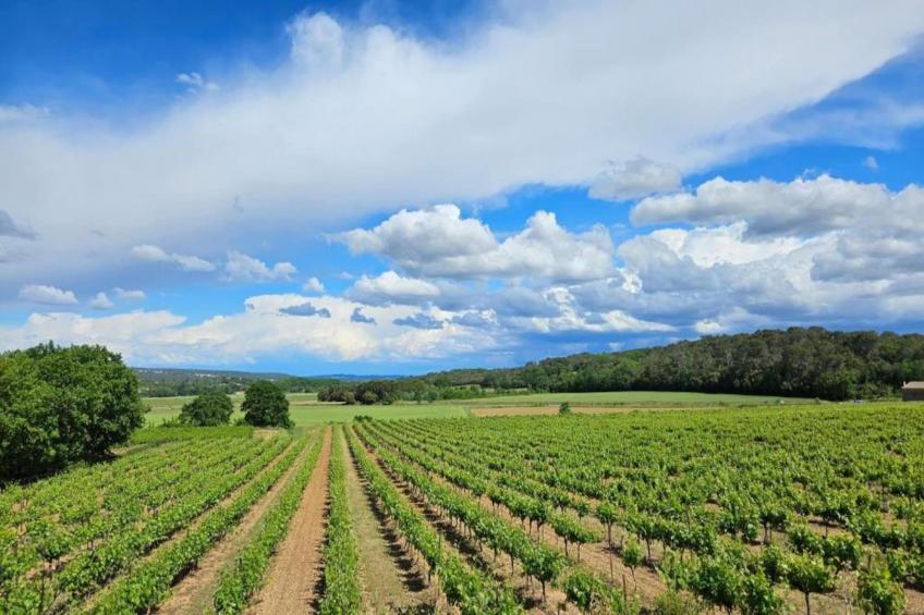 Grande Villa Vue Panoramique - foto 37