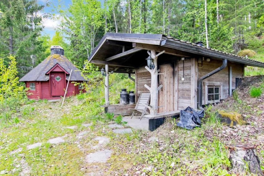 Heinäsorsa - foto 20