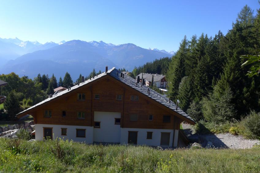 Orana - foto 35