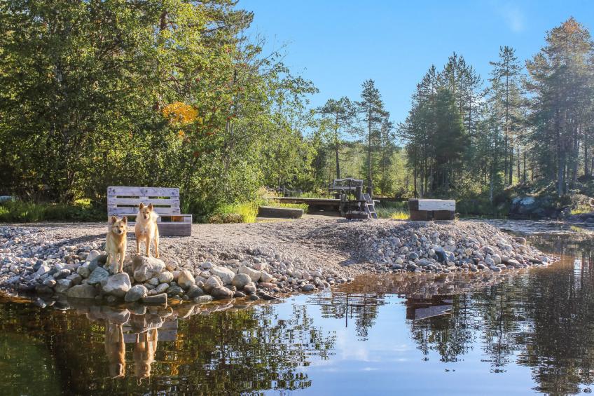 Hamppulahti - foto 6
