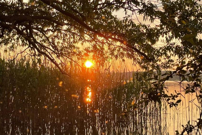 mit Sauna und Kaminofen - foto 25