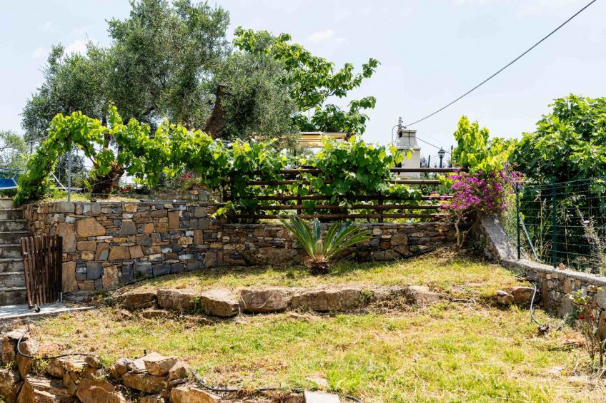 Olive Lodge - foto 40