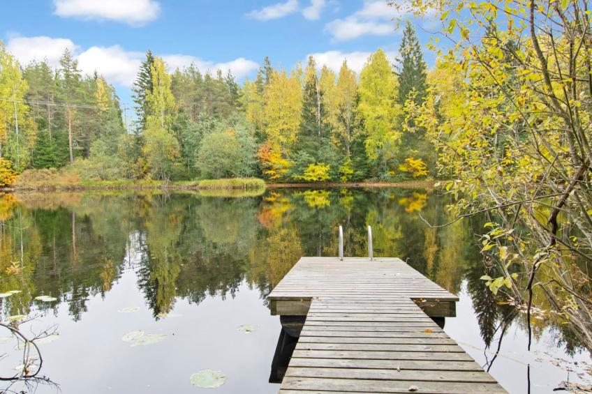 Koskimökki, vaikon loma ja lohi - foto 3