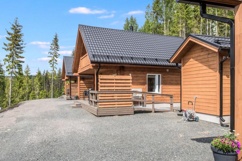 Kolin kangastus kielo 3 - foto 22