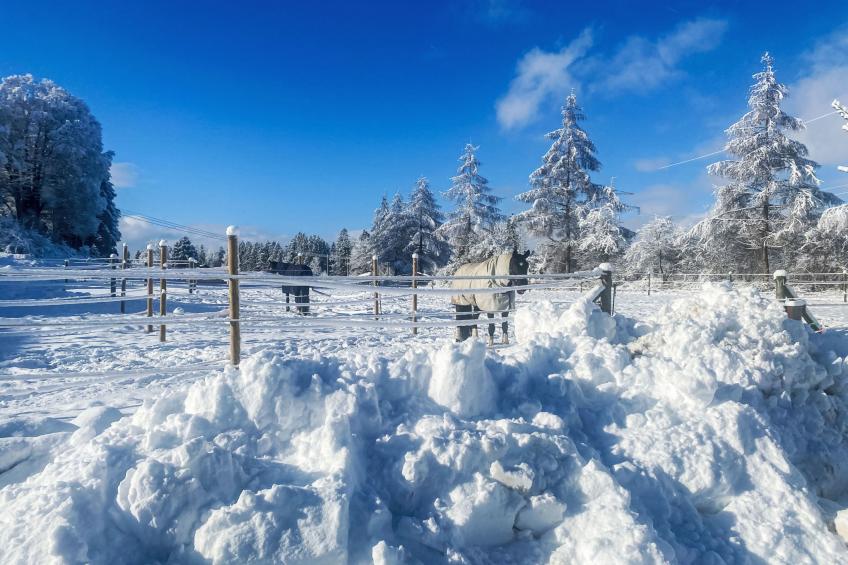 Alpenlodge-Spitzenstein - foto 18