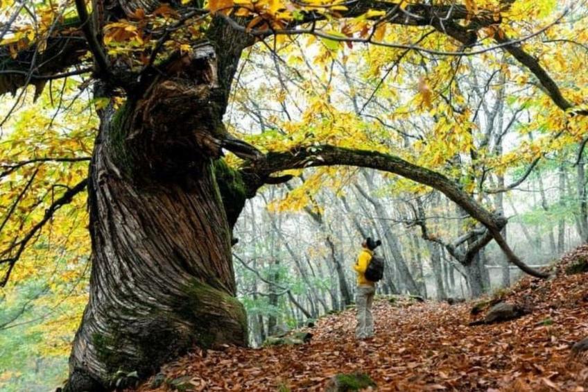 Ideales Refugium in Extremadura Komfort und Natur - foto 16