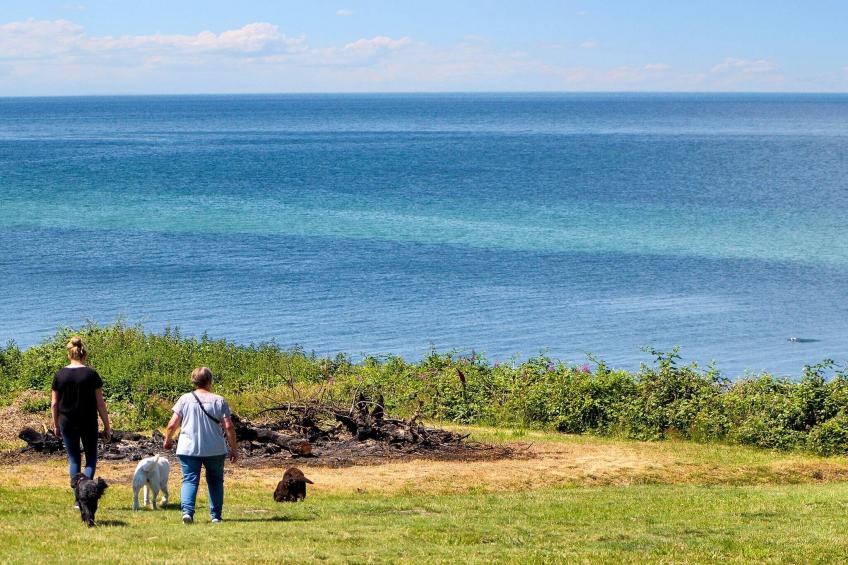 3 room,1 bath,Premium - foto 21